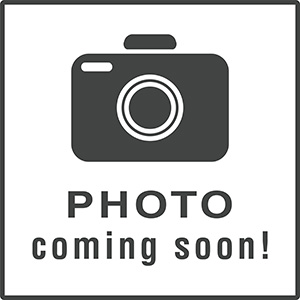 The image shows a black and white camera icon with text above it indicating  PHOTO  and below it stating  Coming Soon.