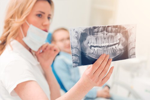 Rooted Dental Company