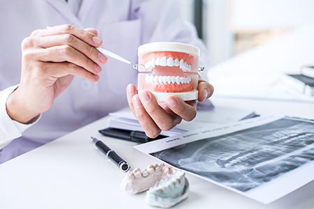 Rooted Dental Company