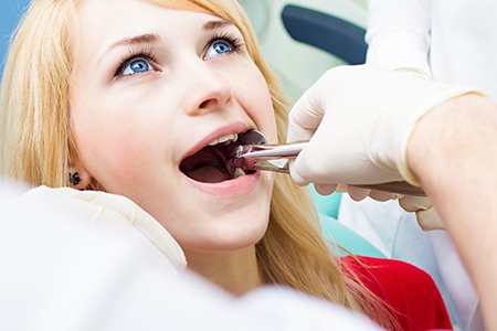 Rooted Dental Company