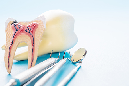 Rooted Dental Company